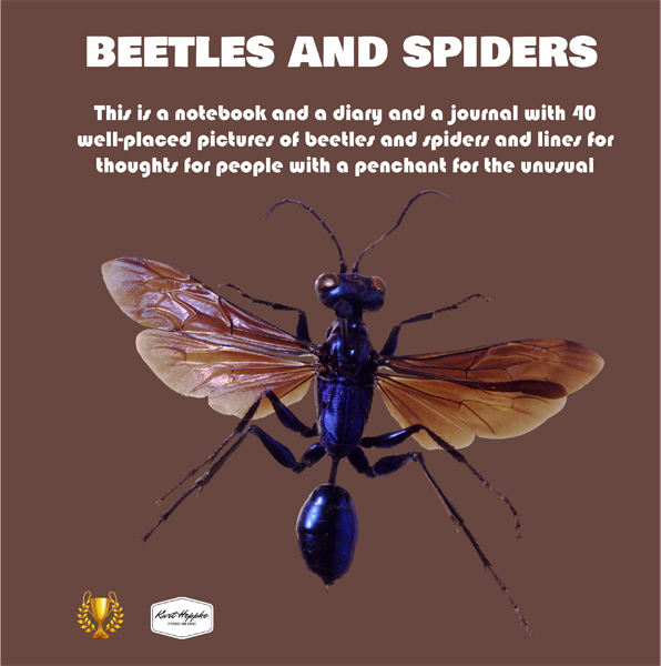 beetles and spiders