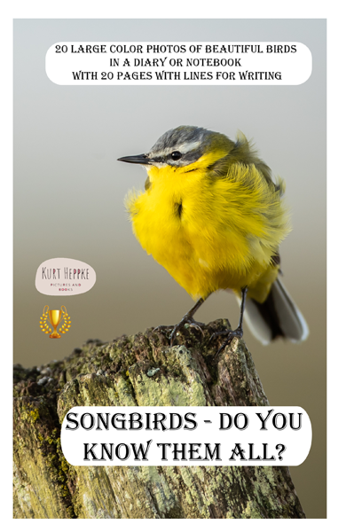 Songbirds - do you know them all?