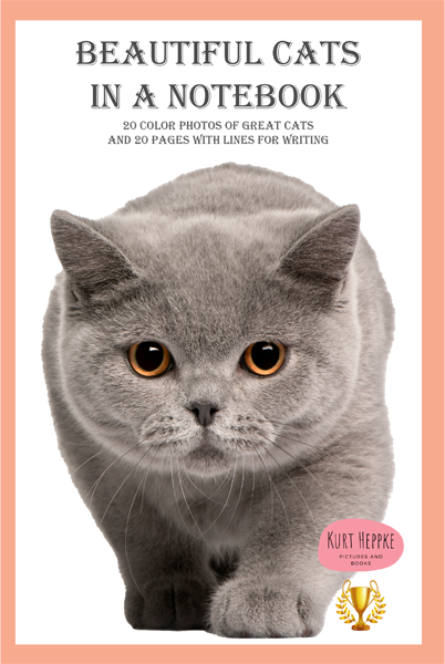 beautiful cats in a notebook