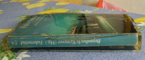 Buch2.jpg