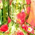 Transparentes Gesichtsprofil mit geschlossenen Augen, verschmolzen mit Mohnblumen und Gänseblümchen | Transparent face profile with closed eyes, merged with poppies and daisies in vivid green-red tones