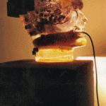 Transparenter Kunstharz-Kopf mit Elektronik und Kabel auf schwarzem Sockel | Transparent resin head with electronics and cable on black pedestal
