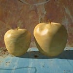 Zwei goldgelbe Äpfel auf verwitterter blauer Fläche vor rissiger Steinwand | Two golden-yellow apples on weathered blue surface against cracked stone wall