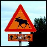 Warnsschild Elch mit verwittertem Zusatzschild „3 km" auf Straße | Moose warning sign with weathered supplementary sign "3 km" on road