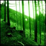 Grün gefärbter Wald mit altem Betonbauwerk und rundem Durchbruch zwischen Bäumen | Green-tinted forest with aged concrete structure featuring circular opening between trees