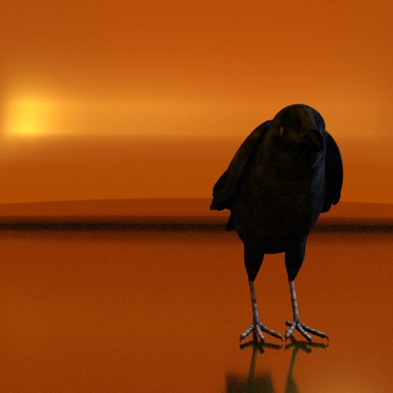 Ein Vogel. Zwei Vögel. Zarte [sic!] „wirklich so“ Schwäne. Kühe und anderes aus der Schatztruhe der Natur.