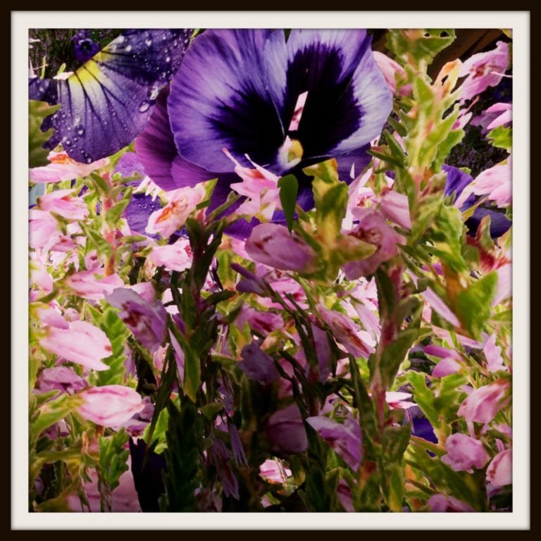 wir schreiben schon wieder, also was ist Schlimmes passiert?