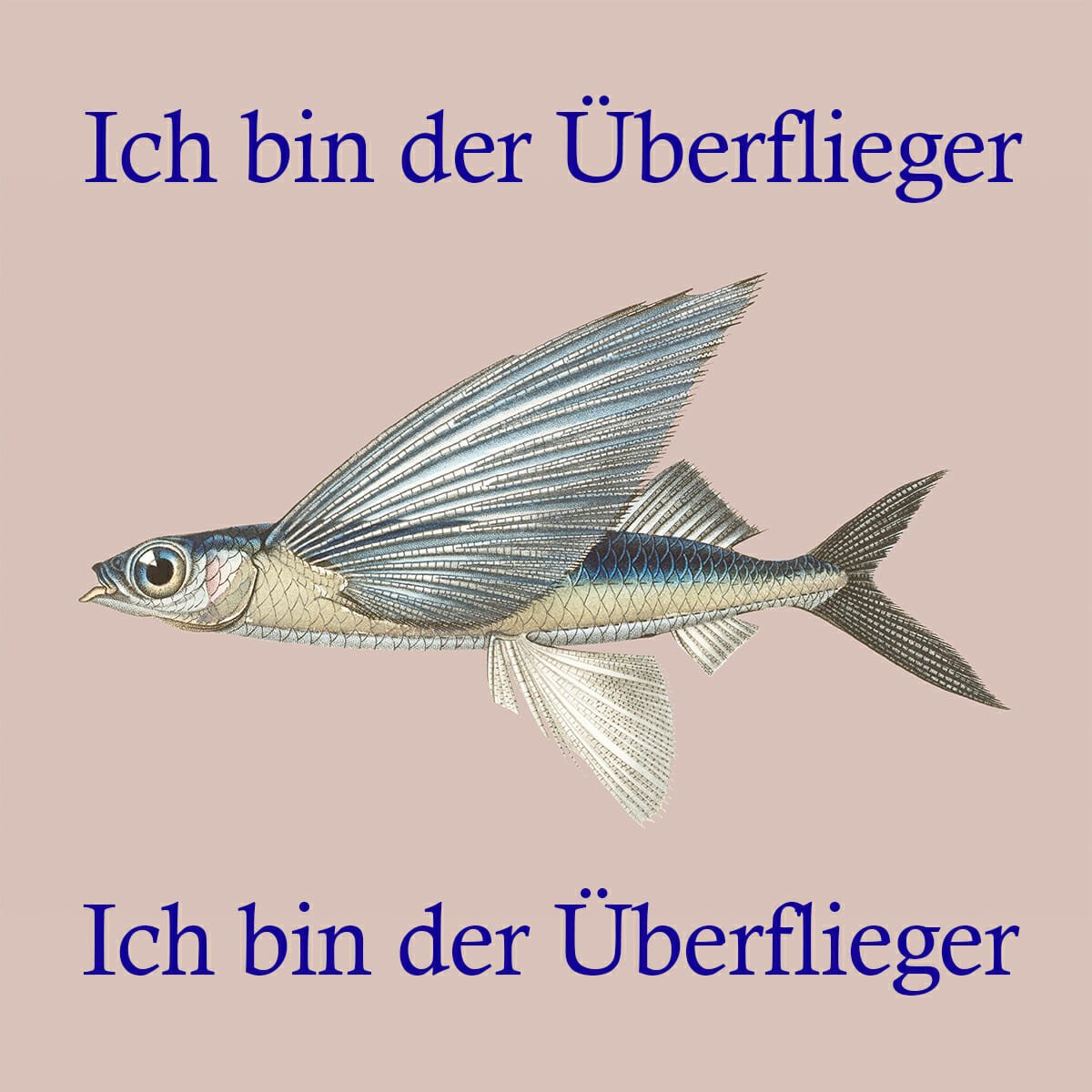 Mehr über den Artikel erfahren Ich präsentiere den Überfliegerfisch