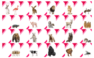 Lovable animals  in a  Notebook – Bild 3