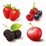 Vier Früchte-Gruppen: Erdbeeren, Himbeeren mit Blaubeeren, Brombeeren, rote Kirsche | Four fruit groups: strawberries, raspberries with blueberries, blackberries, red cherry