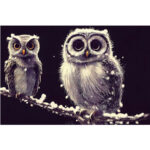 Zwei Eulen auf schneebedecktem Ast, digitale Illustration, dunkler Hintergrund | Two owls on snow-covered branch, digital illustration, dark background