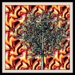 Der Baum als Dispositionsmetapher