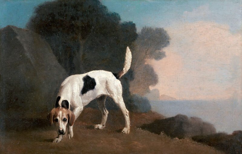 Mehr über den Artikel erfahren Foxhound (1760) von George Stubbs. Original aus der Yale University Art Gallery.